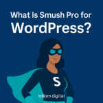 What Is Smush Pro for in WordPress?
